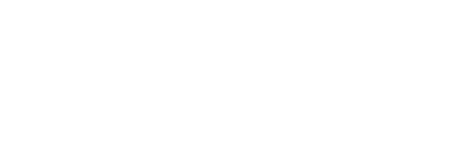 WebInsights logo
